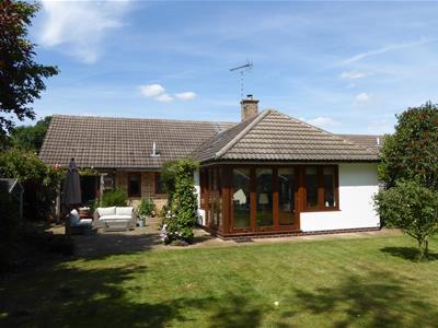 Picture 19